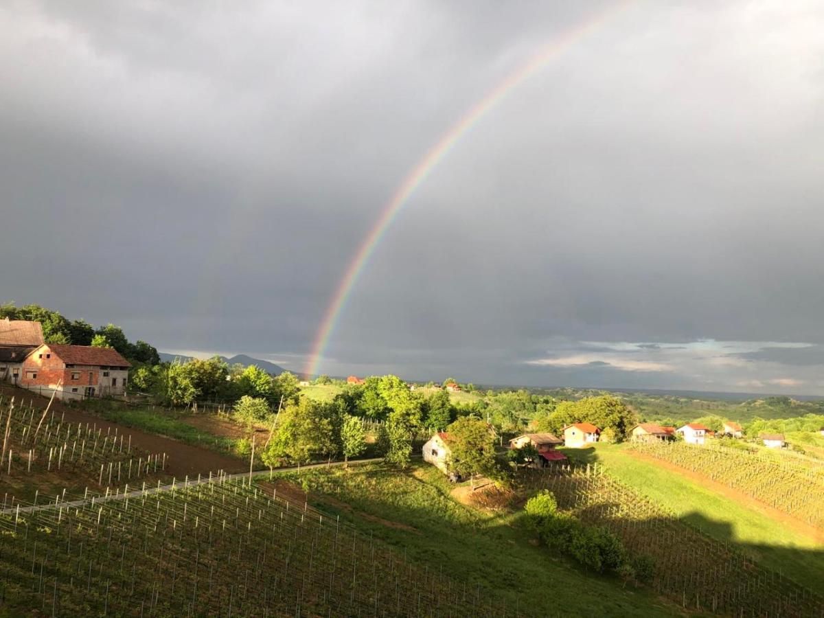 B&B Opg Culig Ozalj Esterno foto