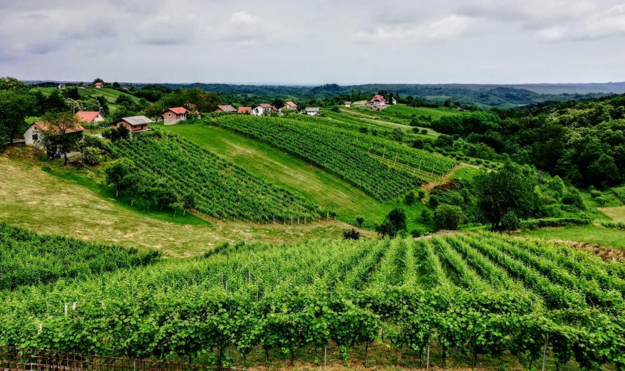 B&B Opg Culig Ozalj Esterno foto